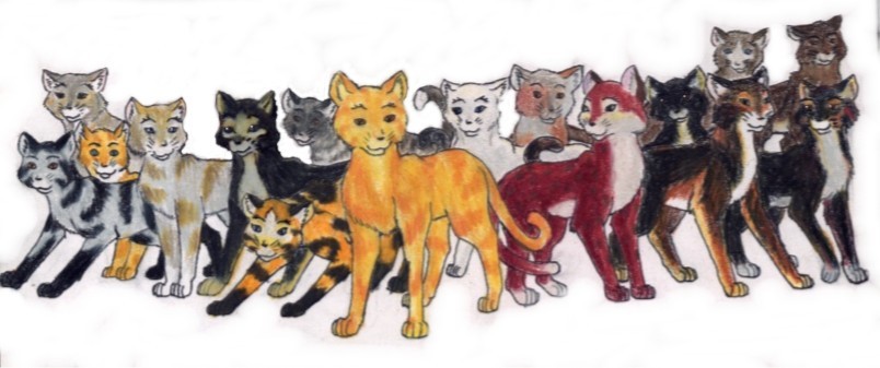 Cats by Sarenia