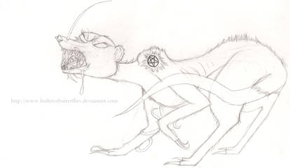 Locust Sketch