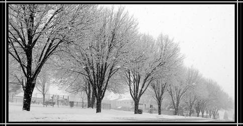 Ice Tree Path