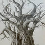 ...and another tree