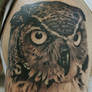 owl for jenny