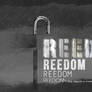 Wallpapers- Freedom_1366x768