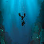 Rust and Water