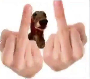 FUCKYOU!!!!!!!!!!!!!!!!!!!!!!!!!!!!!!!!!!!!!!!!!!!