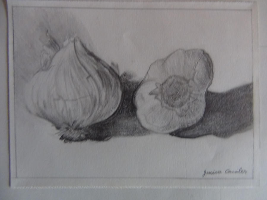 Garlic Drawing 2