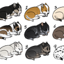 cheap puppies adopts [closed]