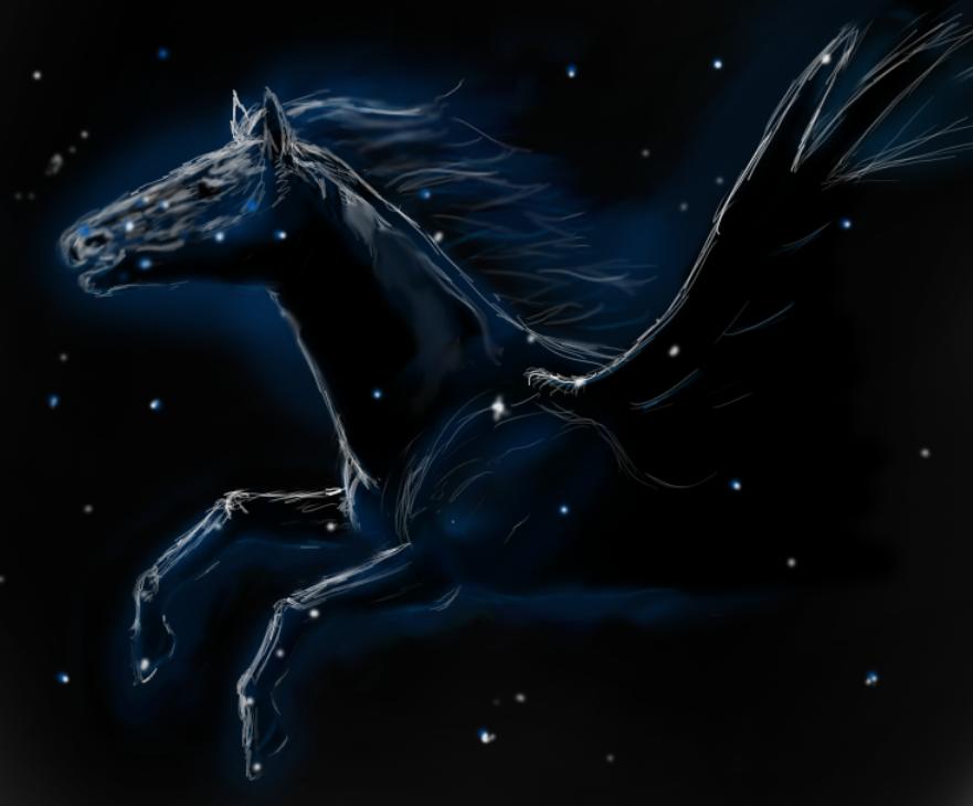 Night Sky Pegasus