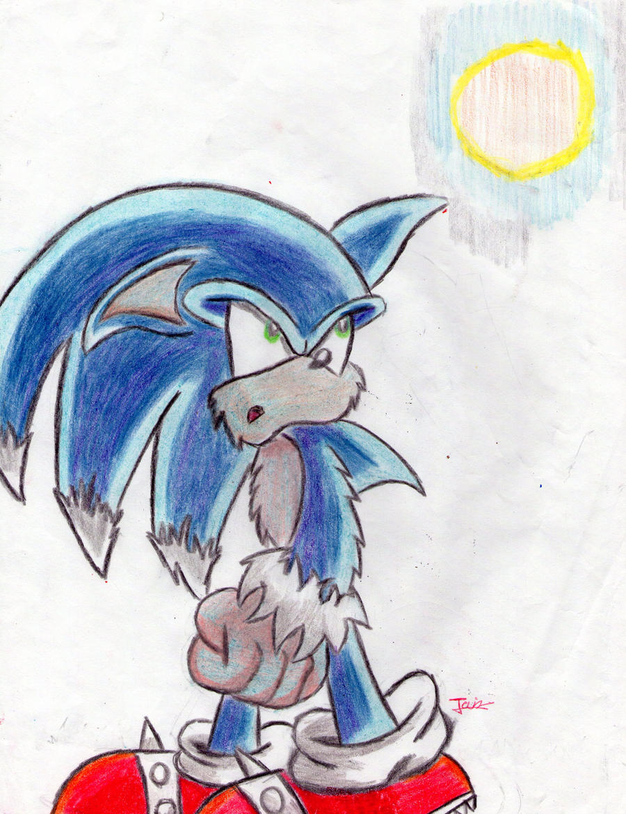 Sonic The Werehog