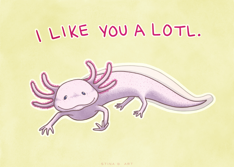 I Like You A Lotl