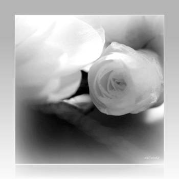 Cam by martaraff