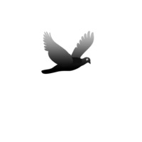 Bird flying animated gif by swathin on DeviantArt