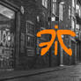 Fnatic Background