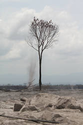 Leftover of Merapi Eruption 5