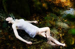 Erfrischung im Wald by Nightshadow-PhotoArt