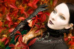 Herbst III by Nightshadow-PhotoArt