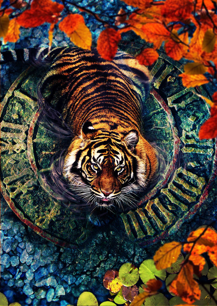 Tiger by Alex-View