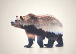 Bear Double Exposure by Alex-View