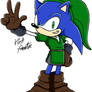 Hero's Tunic Sonic