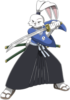 Usagi Miyamoto