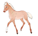 7995 Padro foal design