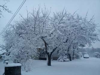 Polish winter in Potakowka on Podkarpacie