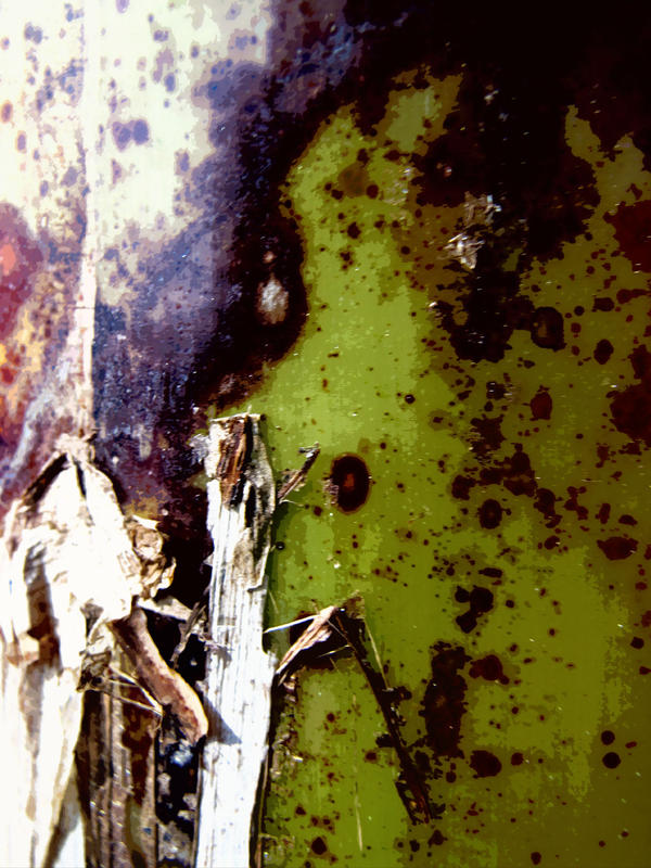 Decay by JayRabbit on DeviantArt