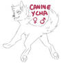 Canine YCHA