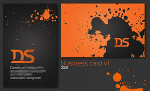 Dani-Sang Business Card 2010