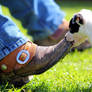 Cowgirl Boot for a Chew Toy