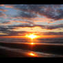 A Walk on the Beach