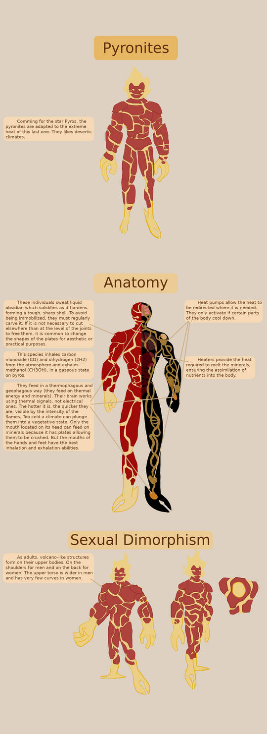 Pytonite Lore Extending:Pyronite Anatomy (ENG) by LordSylvain on DeviantArt