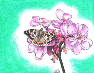 The Butterfly and a Geranium