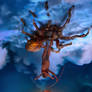 Bushman riding Spider fertile clouds detail 3