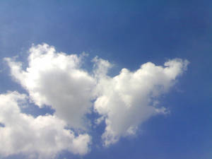 Butterfly Cloud