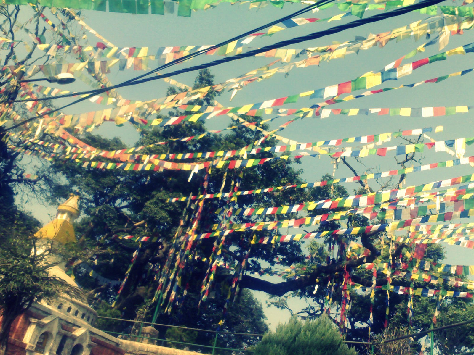 Prayer flags