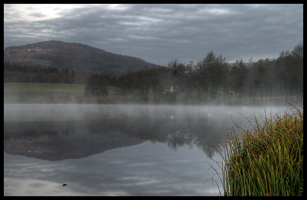 misty morning