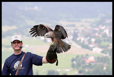 Falconer