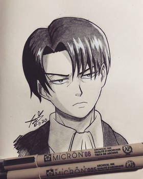 Levi Ackerman 