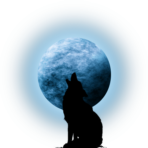 Moon with coyote silhouette