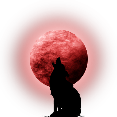 Moon-Coyote Silhouette