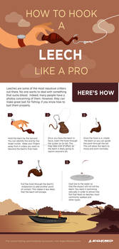 How to hook a leech