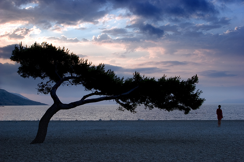 Golden Beach Morning I