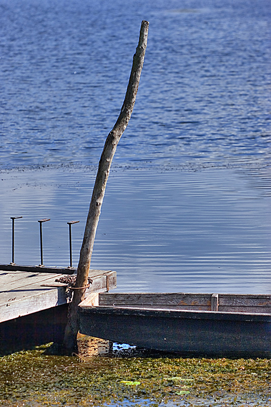 Chained to a pole