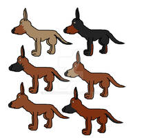 Kelpie pups