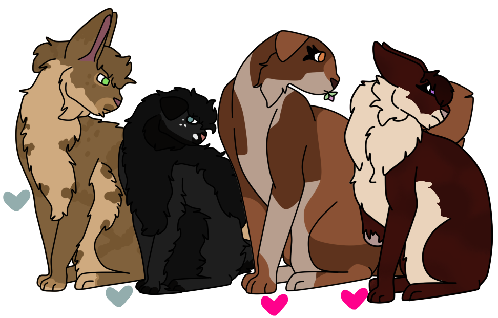 Raspberry Ripple Cat The top cats of Rippleclan by DaddyDeerdemon07 on DeviantArt