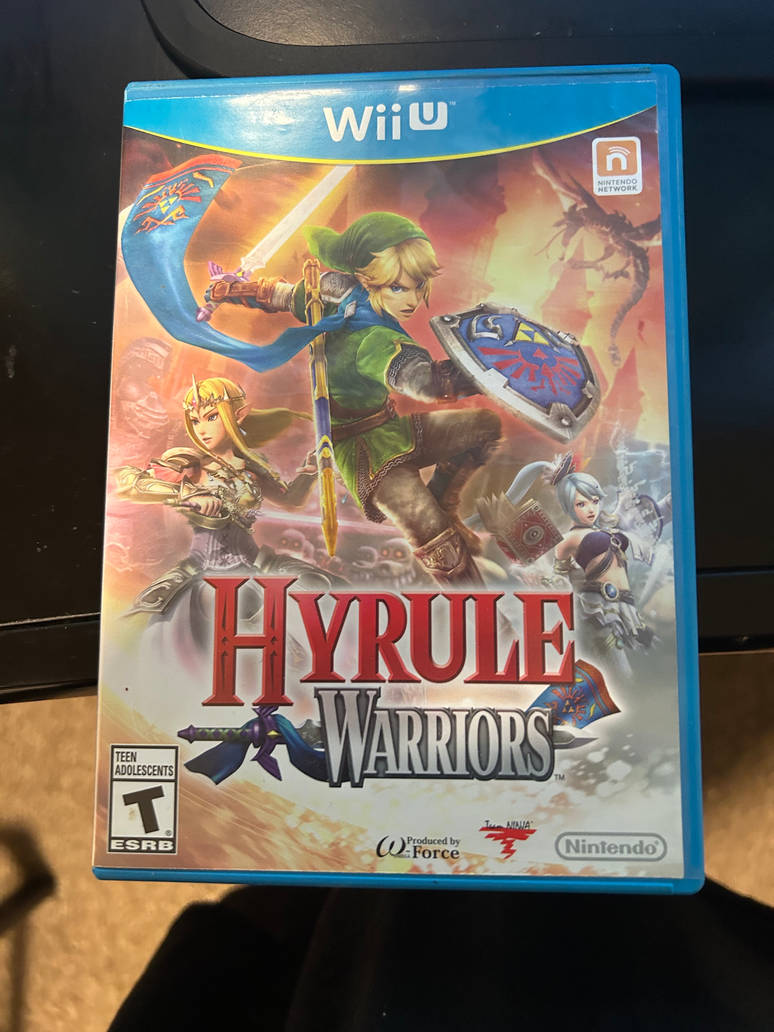 Hyrule Warriors by NGMRX on DeviantArt