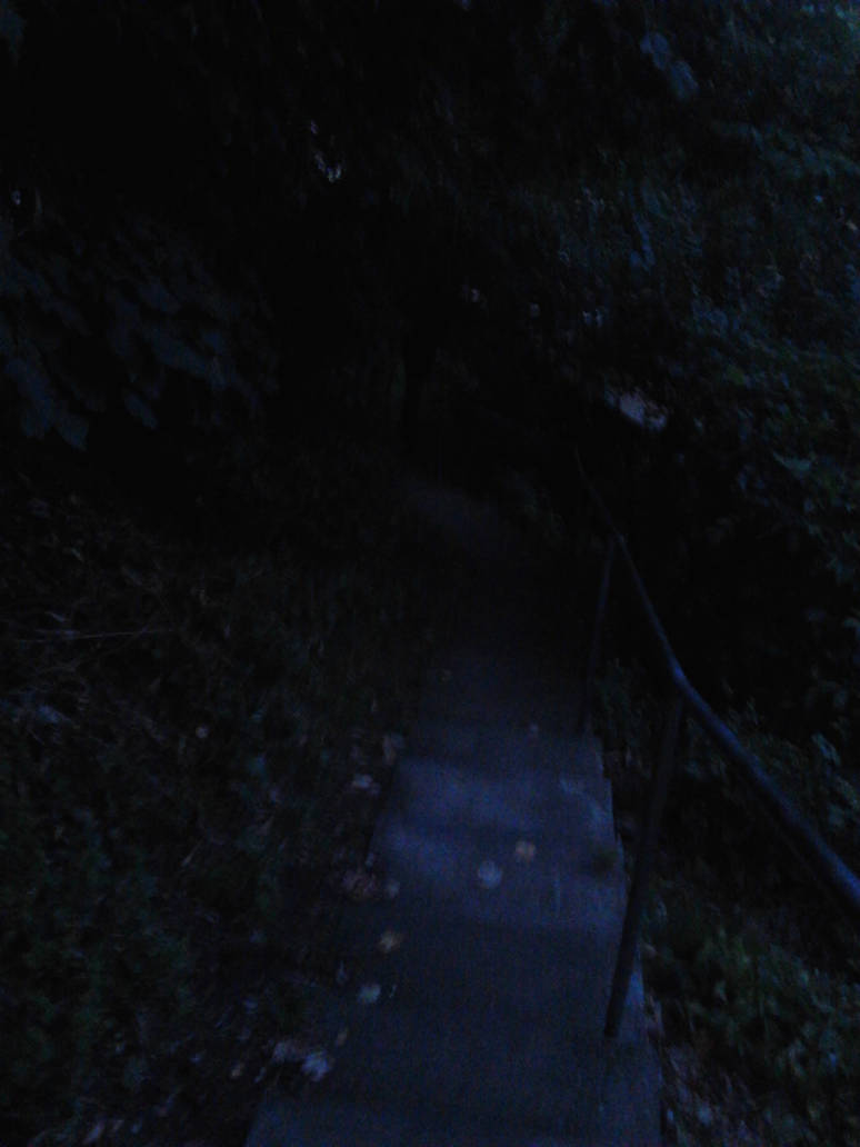 Dark path by Zuzu19 on DeviantArt