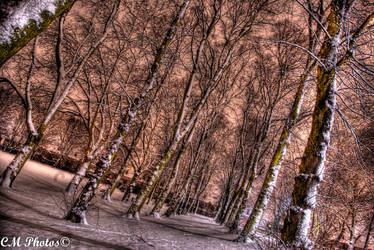 HDR snow