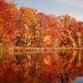 Minnesota Autumn