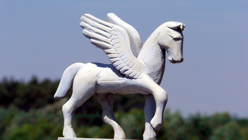 pegasus